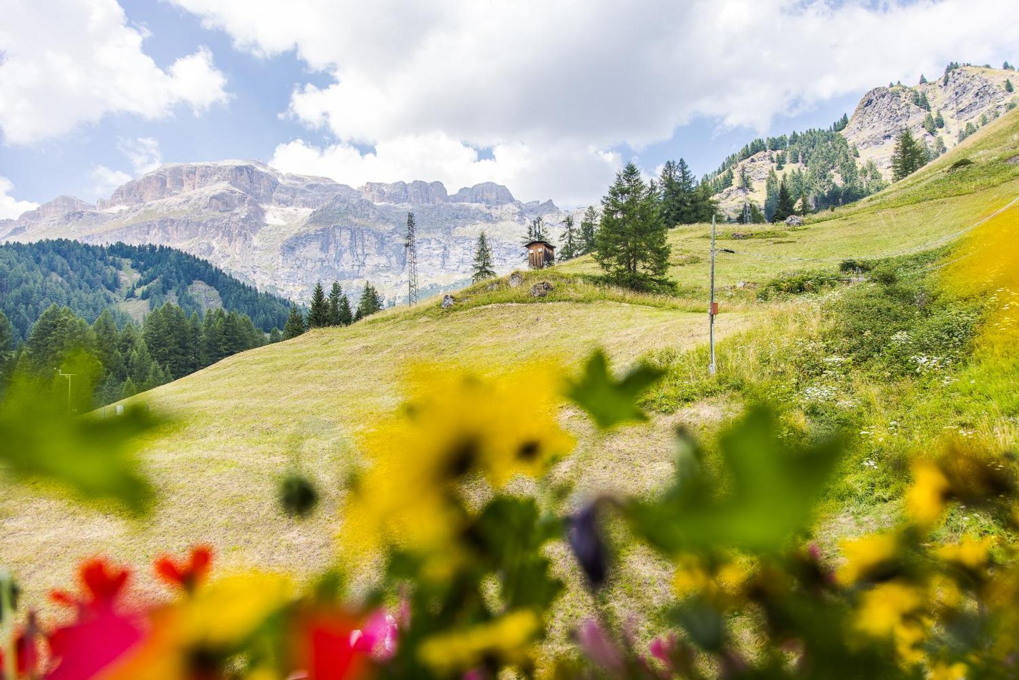 Chalet Pradat Arabba Rom bilde